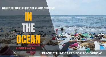 How Much Recycled Plastic Ends Up in Oceans?