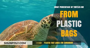 Plastic Bags' Deadly Impact: How Many Turtles Are Affected?