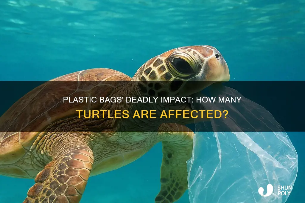 what percentage of turtles die from plastic bags