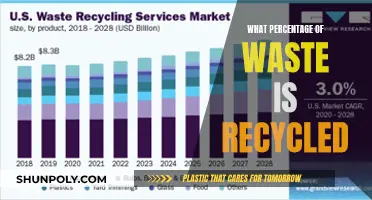 The Surprising Truth: Only a Fraction of Our Waste Gets Recycled