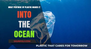 How Much Plastic Ends Up in Our Oceans? Shocking Facts Revealed