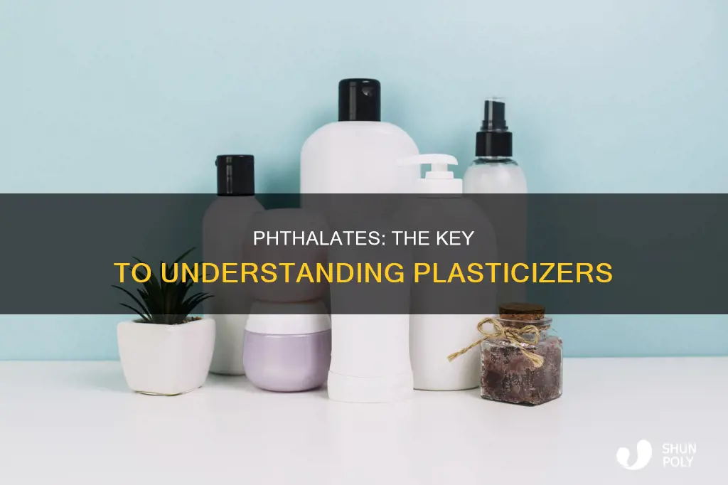 what phthalate is necessary for plasticizers