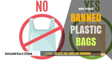 Global Shift: Countries and Cities Banning Plastic Bags for Sustainability