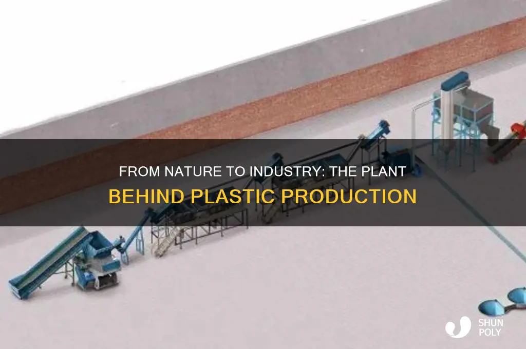 what plant makes plastic