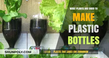 From Plants to Plastic: Discover the Surprising Sources of Bottles