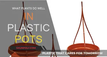 Plastic Pot Plants: Best Choices for Your Garden