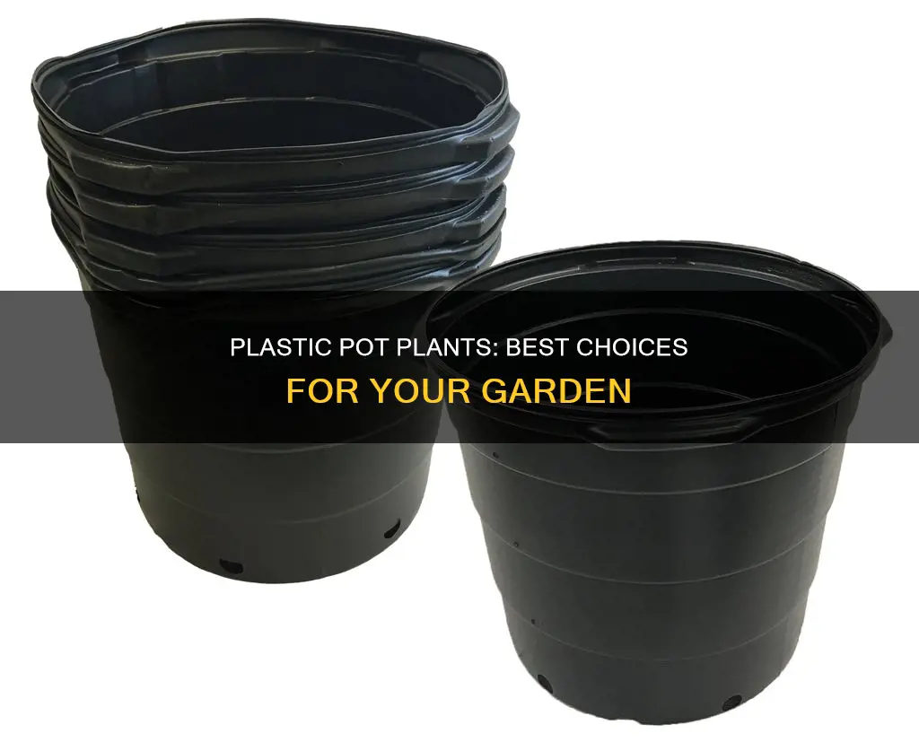 what plants do well in plastic pots