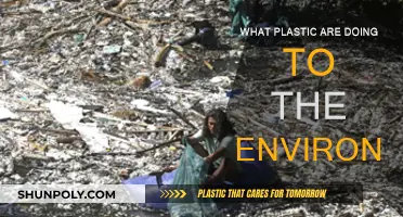 Plastic Pollution: Environmental Impact and Solutions