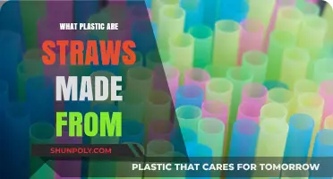 Understanding the Plastic Composition of Everyday Drinking Straws