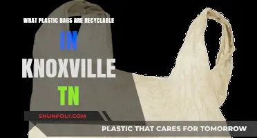 Recyclable Plastic Bags in Knoxville: What's Accepted and Where to Recycle