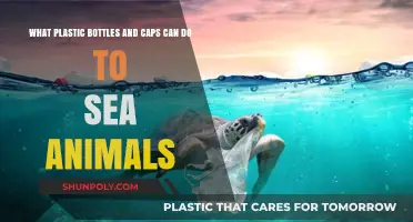 Deadly Impact: Plastic Bottles and Caps Threaten Marine Life