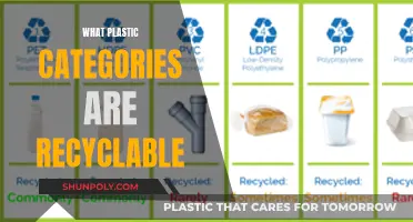 Recycling Plastic: Understanding the Different Categories for Recycling