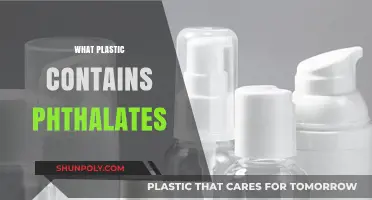 Phthalates in Plastics: What You Need to Know