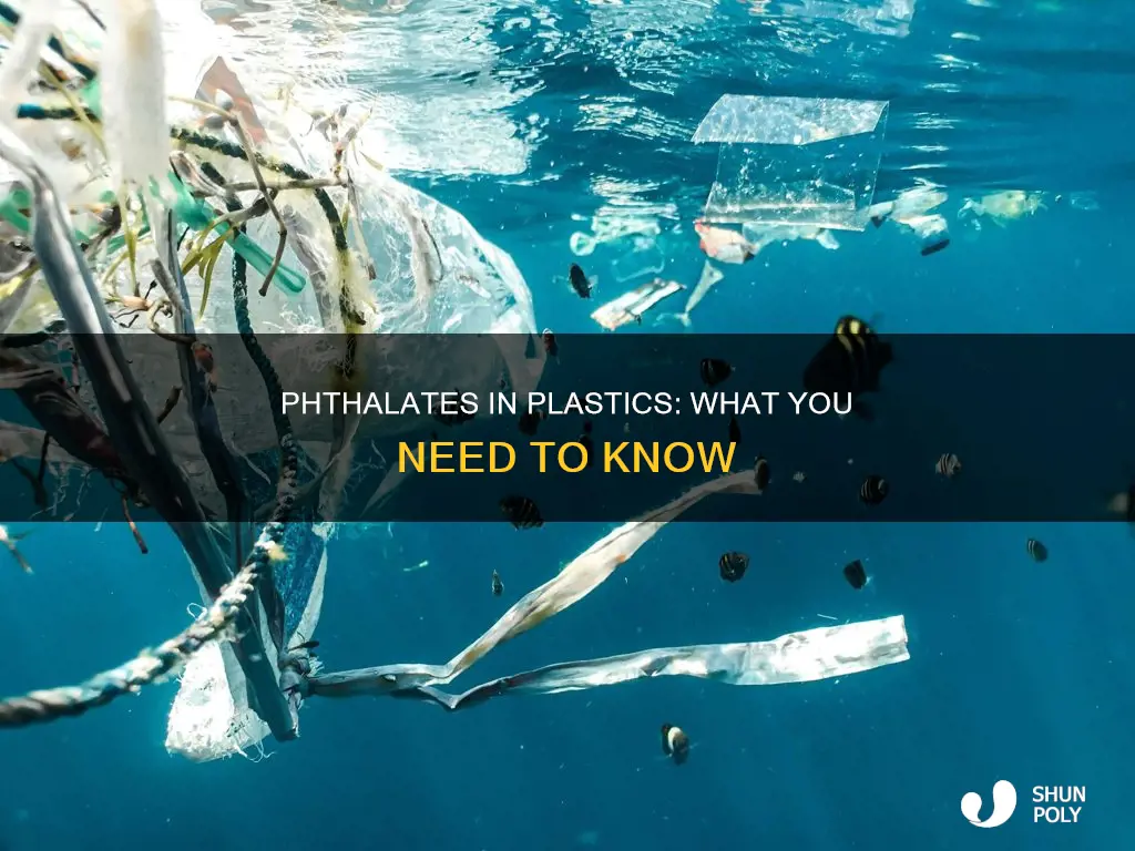 what plastic contains phthalates