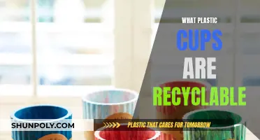 Are Plastic Cups Recyclable? Understanding the Recycling Process
