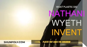 Wyeth's Wonder: The Plastic Revolution