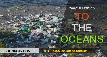 Plastic's Impact: Ocean's Plight