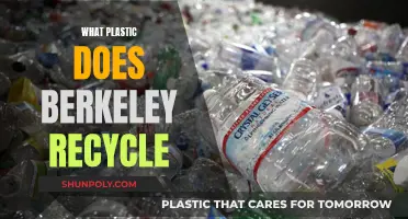 Berkeley's Plastic Recycling: What Types Are Accepted?