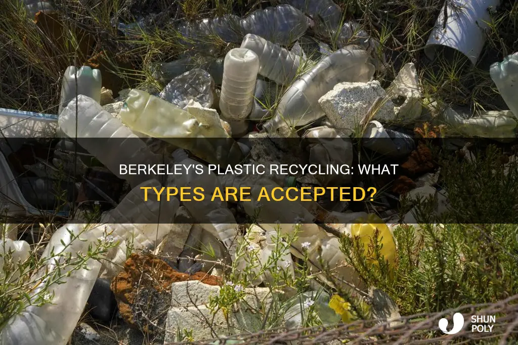 what plastic does berkeley recycle