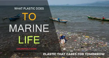 Plastic's Impact: Devastating Marine Life