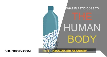 Plastic's Harmful Effects on Human Health