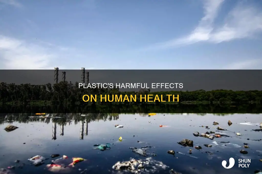 what plastic does to the human body