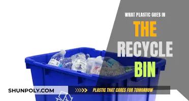 Sorting Plastics: What Plastic Types Are Recyclable?