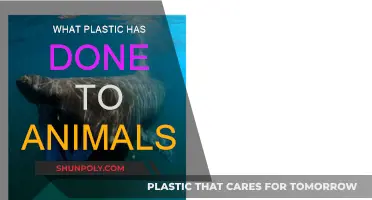 Plastic's Harmful Impact on Animals