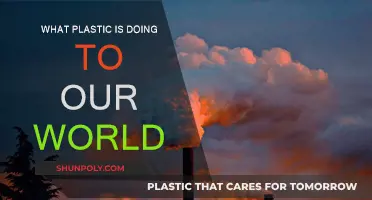 Plastic's Impact: Our World's Future