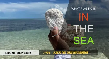 Plastic Pollution: What's in Our Seas?