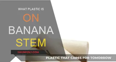Banana Stems: Plastic Wrappers or Natural Protectors?