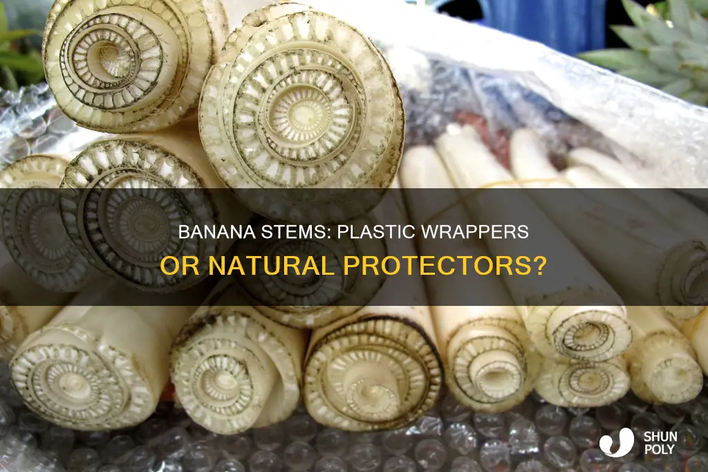 what plastic is on banana stem