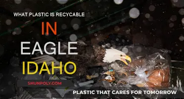Recycling in Eagle, Idaho: Which Plastics?