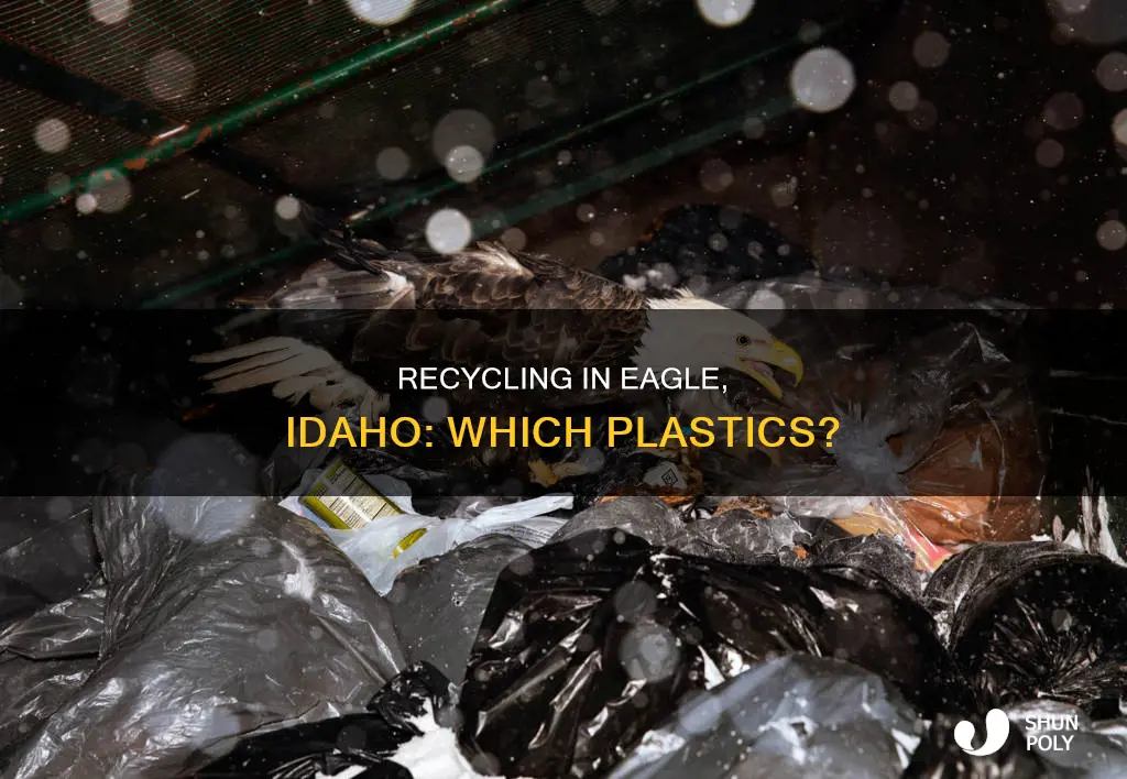 what plastic is recycable in eagle idaho