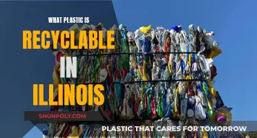Recycling in Illinois: What Plastics Are Accepted?