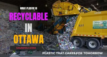 Recycling in Ottawa: What Plastics Are Accepted?