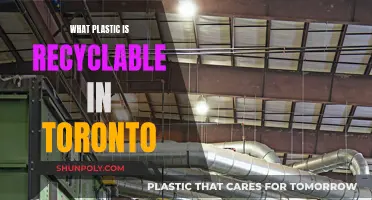 Toronto's Guide to Plastic Recycling: What's Accepted?