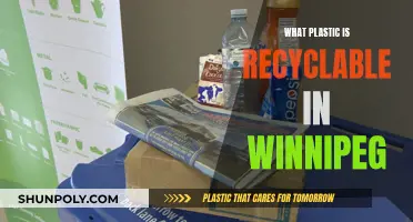 Winnipeg's Guide to Plastic Recycling: What's Accepted?