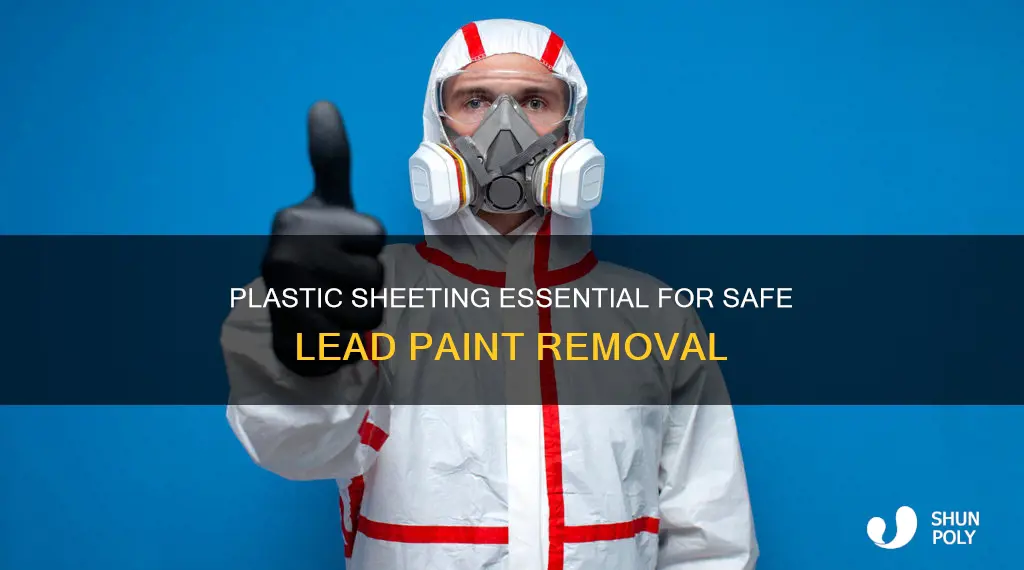 what plastic is required when removing lead paint