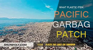 Plastic Items Polluting the Pacific Garbage Patch