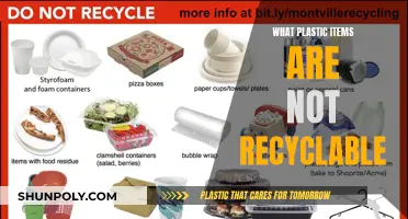 Plastic Waste: What Items Cannot Be Recycled?