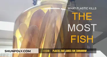 Plastic Pollution: Deadliest Plastics for Marine Life