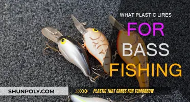 Best Plastic Lures for Bass Fishing: A Guide