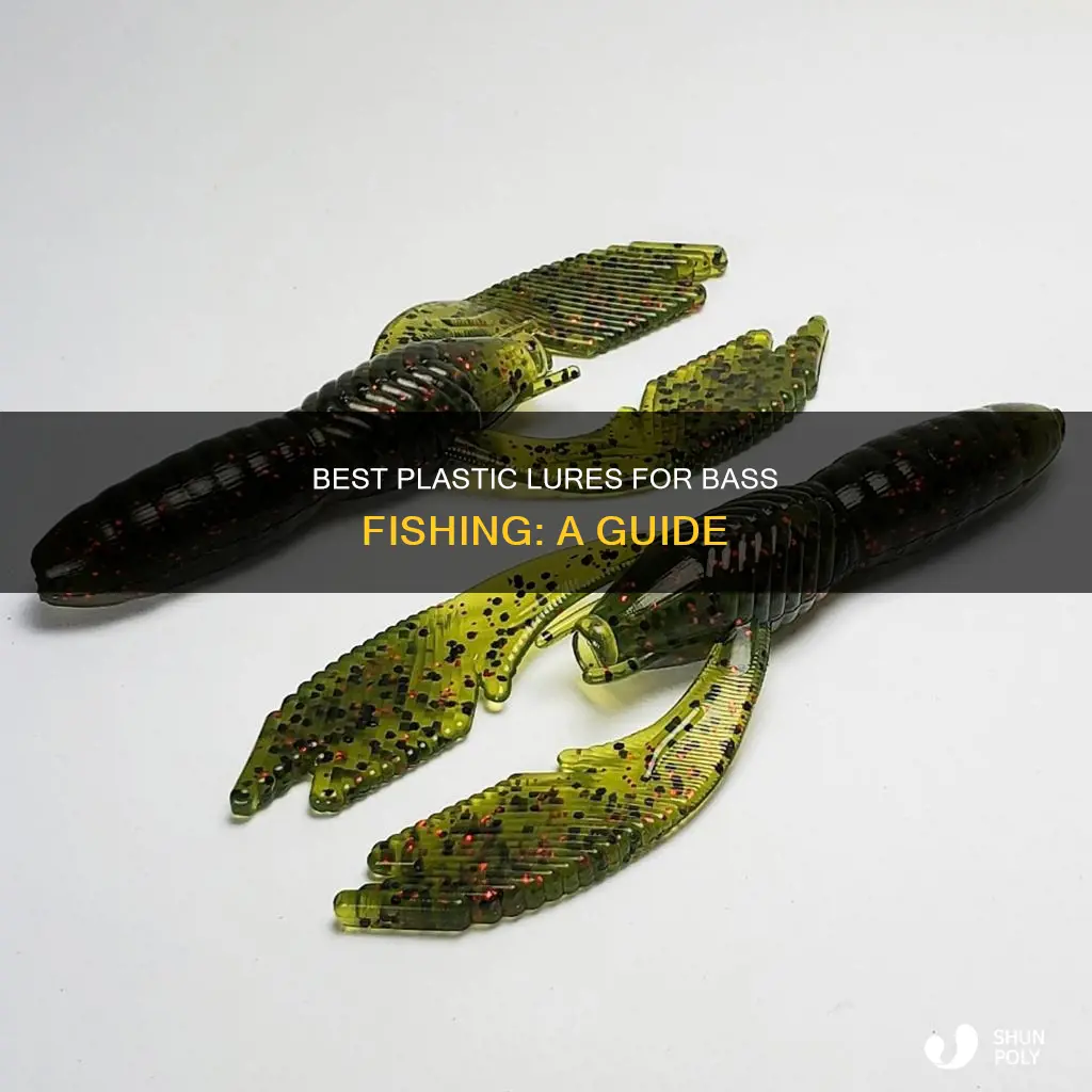 what plastic lires for bass fishing