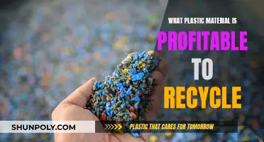 Lucrative Plastic Recycling: What Materials Are Worth Your While?