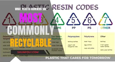 Recycling Plastics: The Most Common Numbers to Look For