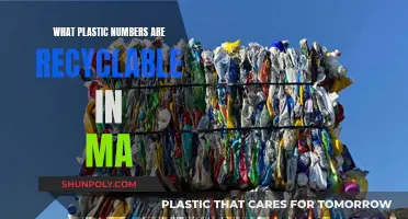 Recycling Plastics: MA's Guide to Numbers and Their Meaning