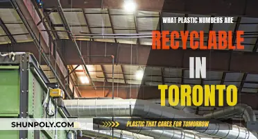 Recycling in Toronto: Understanding Which Plastic Numbers Are Accepted