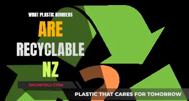 Recycling Plastic: Understanding the Numbers for Kiwis