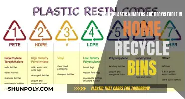 Recycling Plastic: What Numbers Can Go in Home Bins?